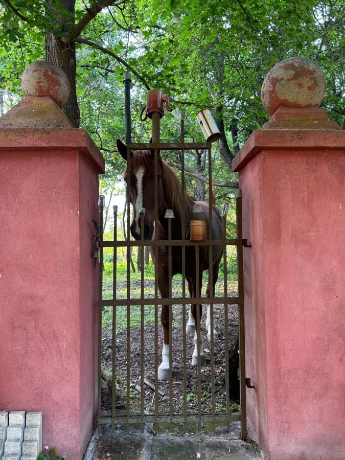 Appartamento Popice Hideaway Znojmo Esterno foto