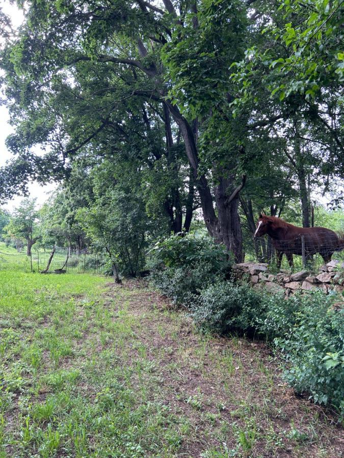 Appartamento Popice Hideaway Znojmo Esterno foto
